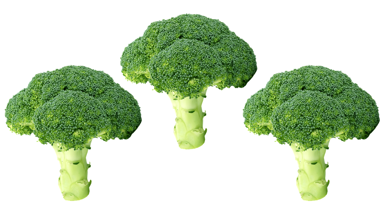 broccoli png  vegetables  green free photo