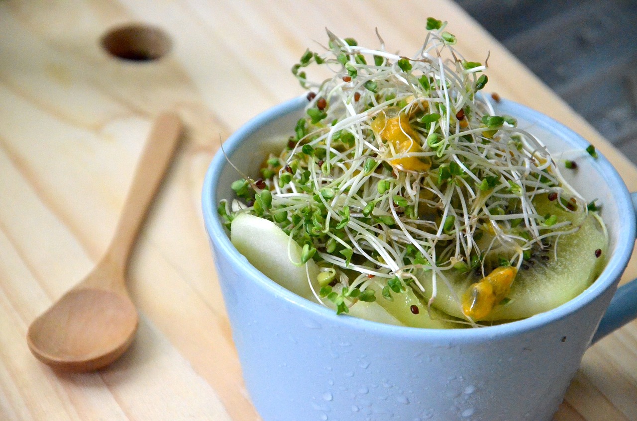 broccoli sprouts super food anti cancer free photo