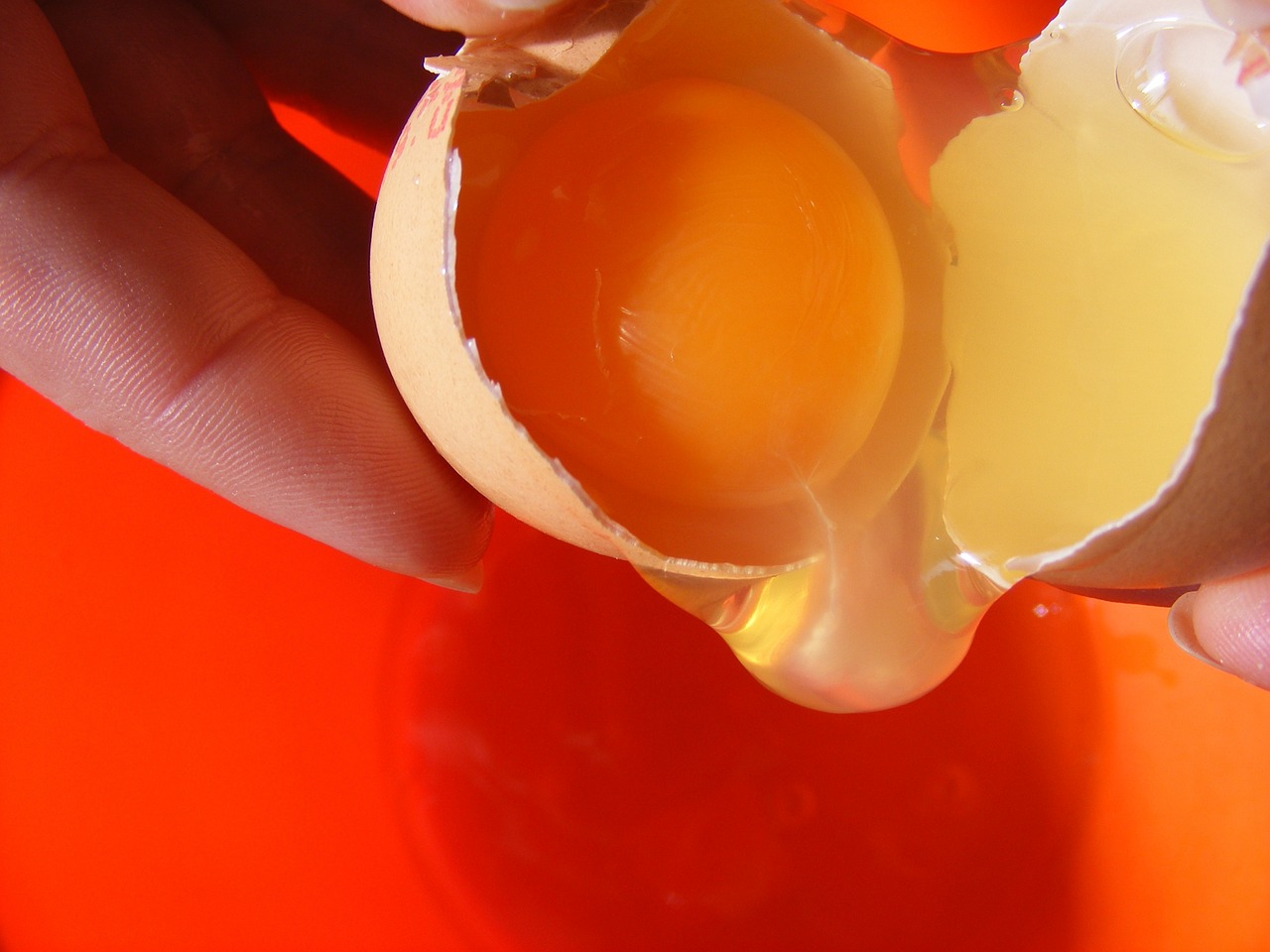 broken egg eggs free photo