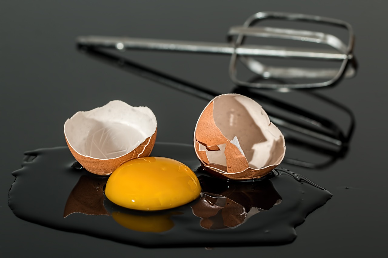 egg eggshell broken free photo