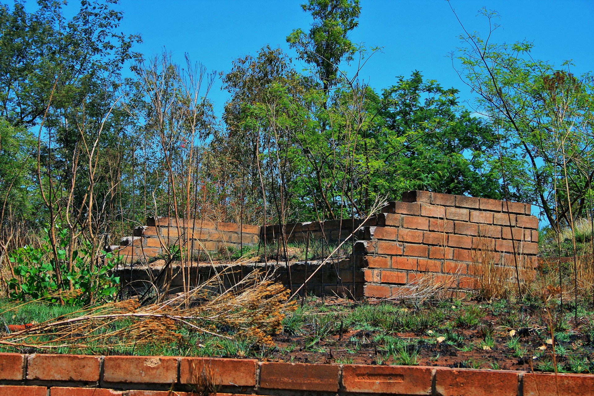 building brick red free photo