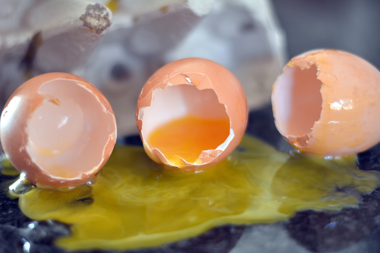 broken eggs yellow yolk food free photo