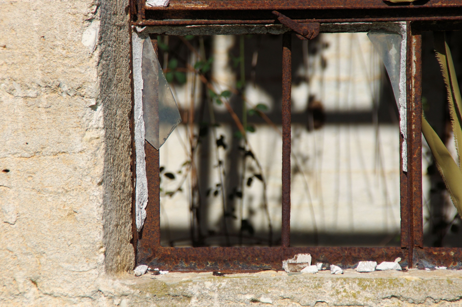 derelict glass window free photo