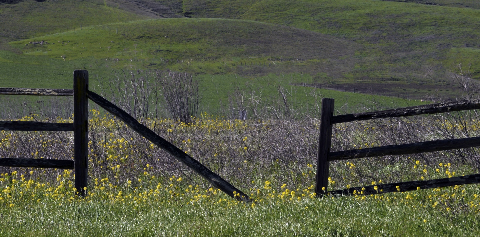 fence wood rail rural free photo