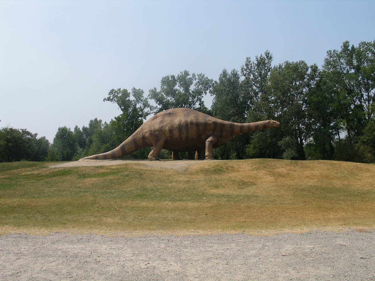 brontosaurus  prehistoric  dinosaur free photo