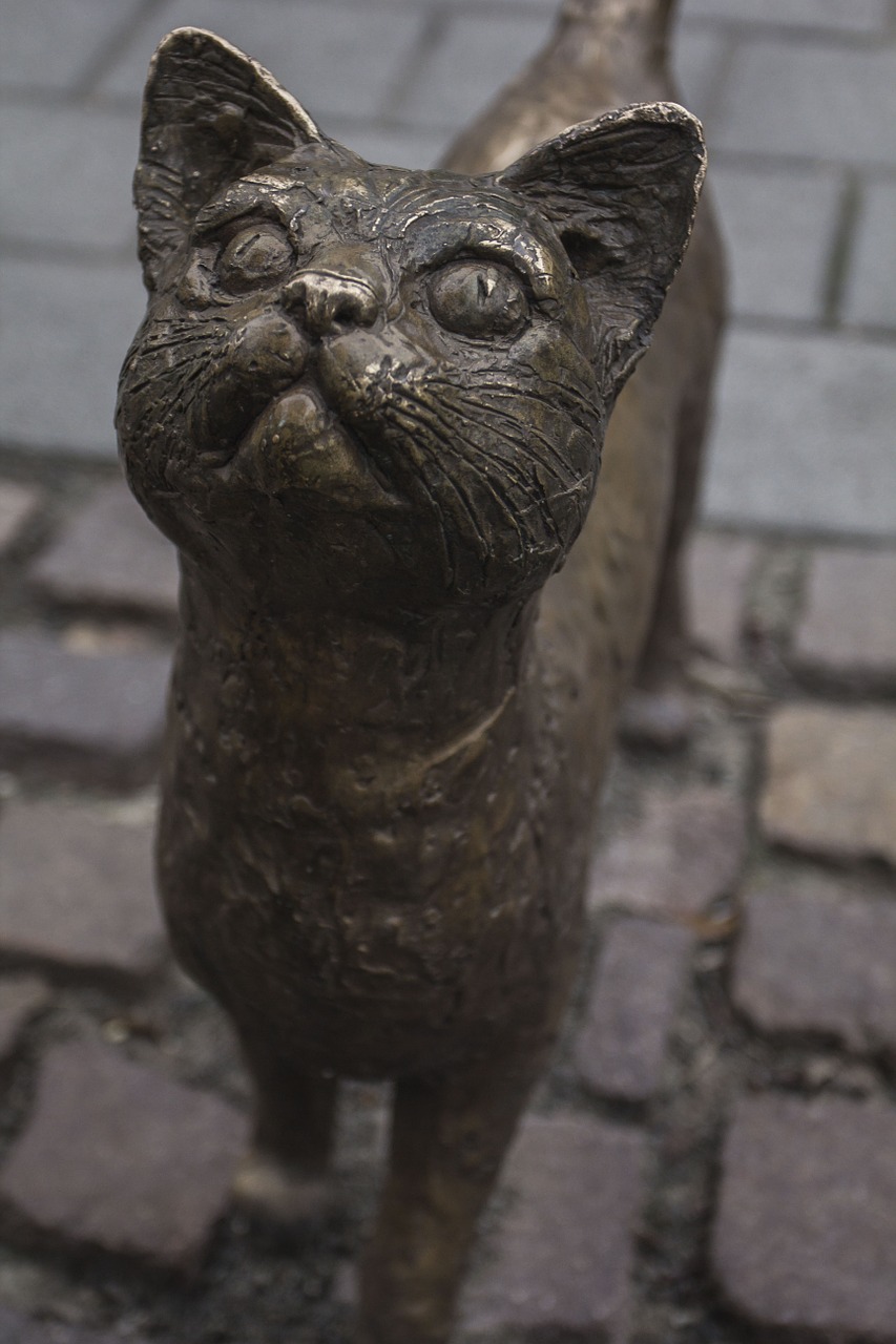 bronze cat statue free photo