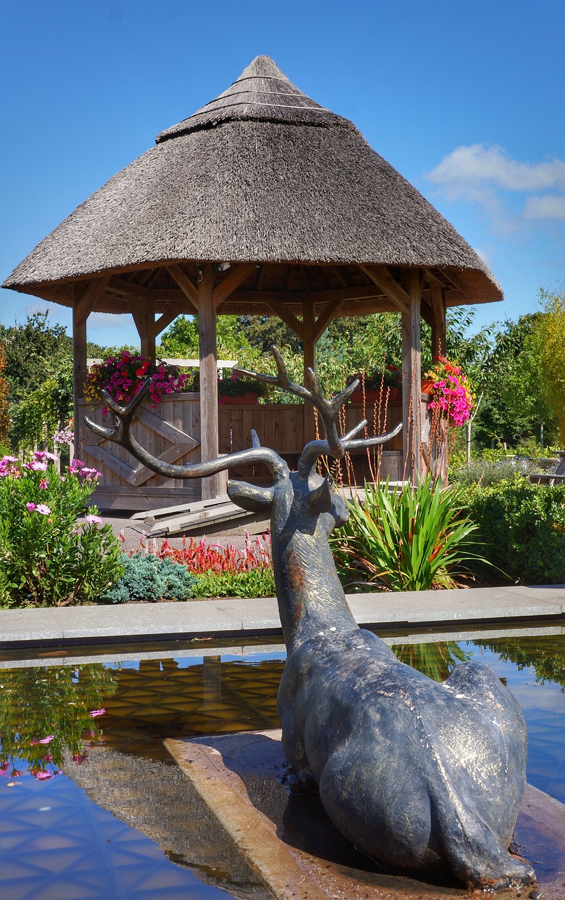 bronze deer thatched free photo