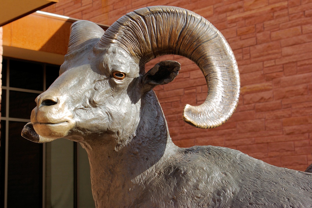 bronze bighorn ram  bronze  statue free photo