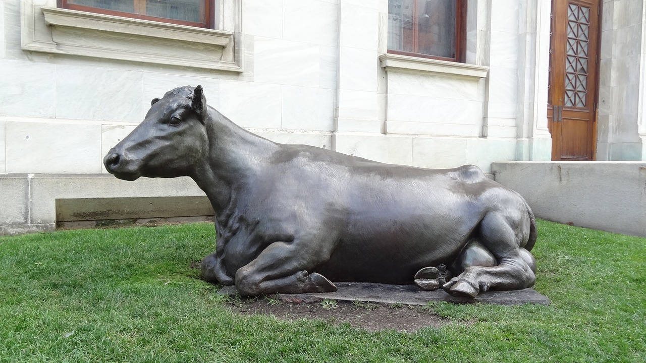 bronze lying cow claudia free photo