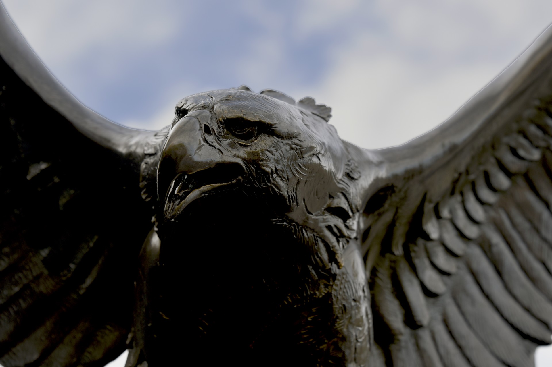 eagle bronze statue free photo