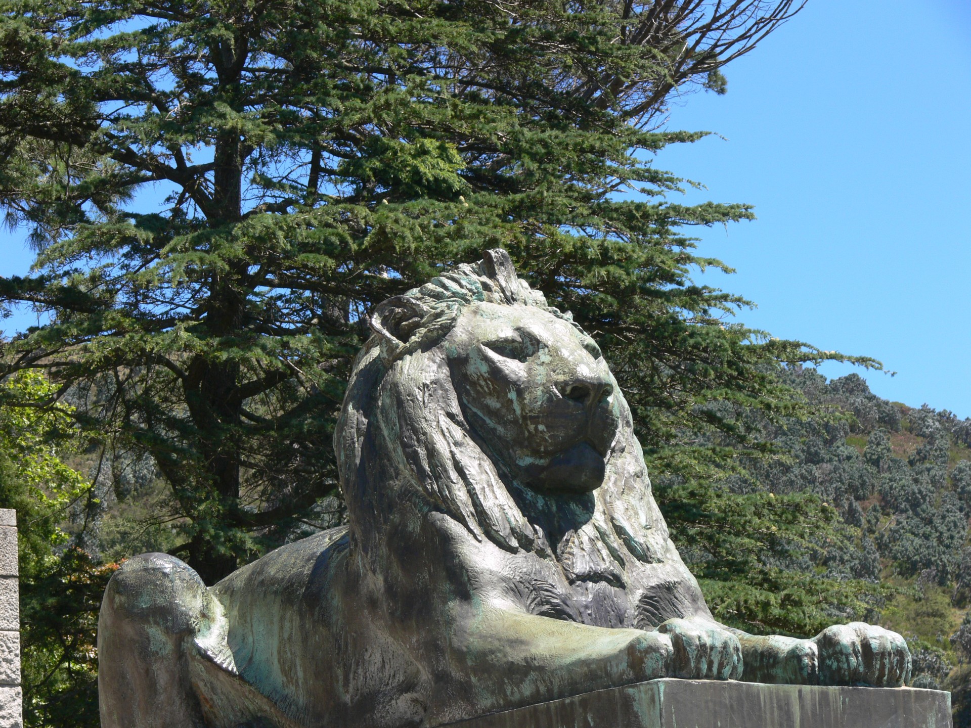 bronze statue lion free photo