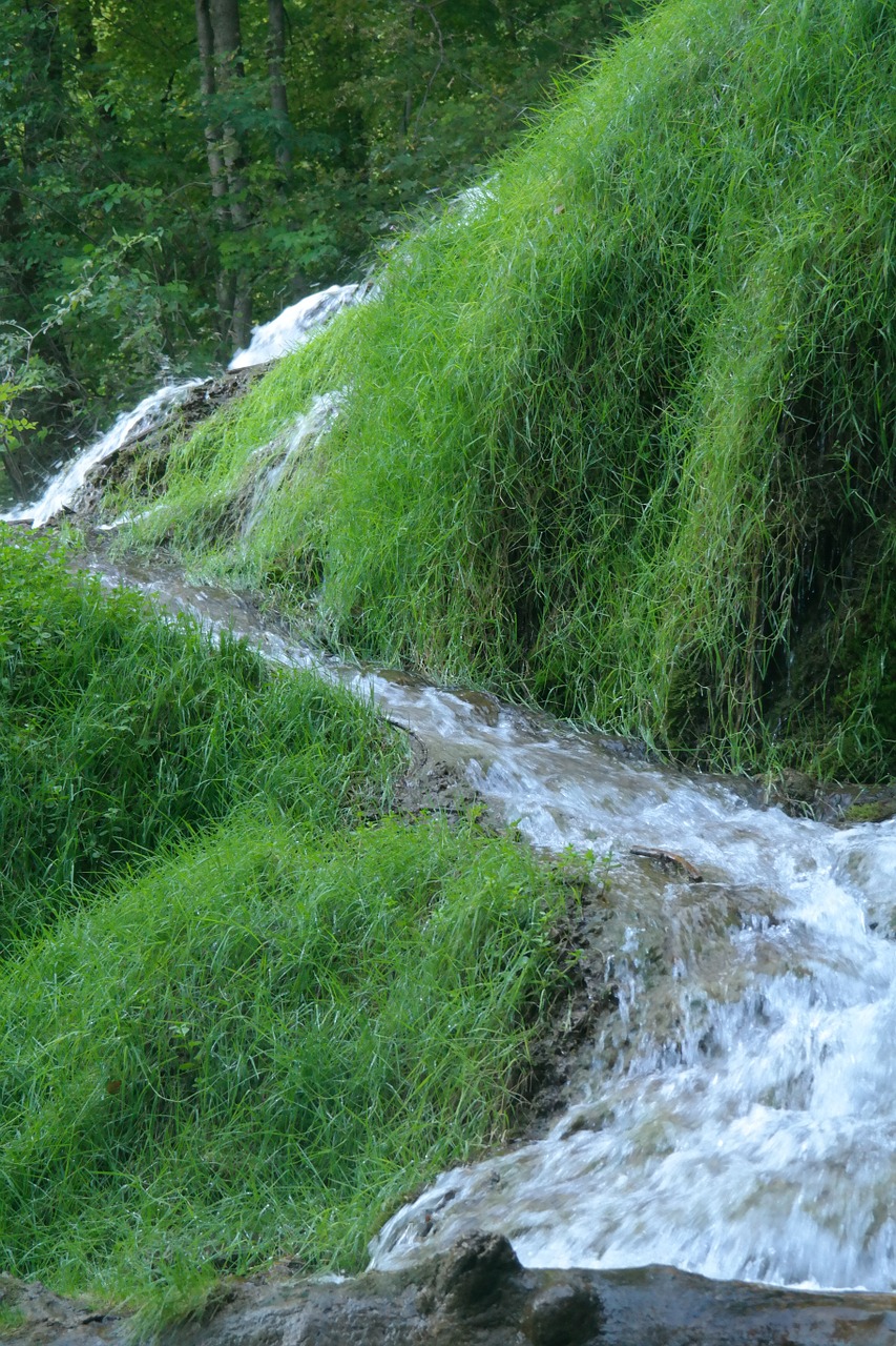 brook water flow free photo