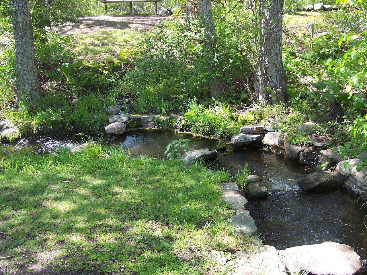 brook stream rocks free photo