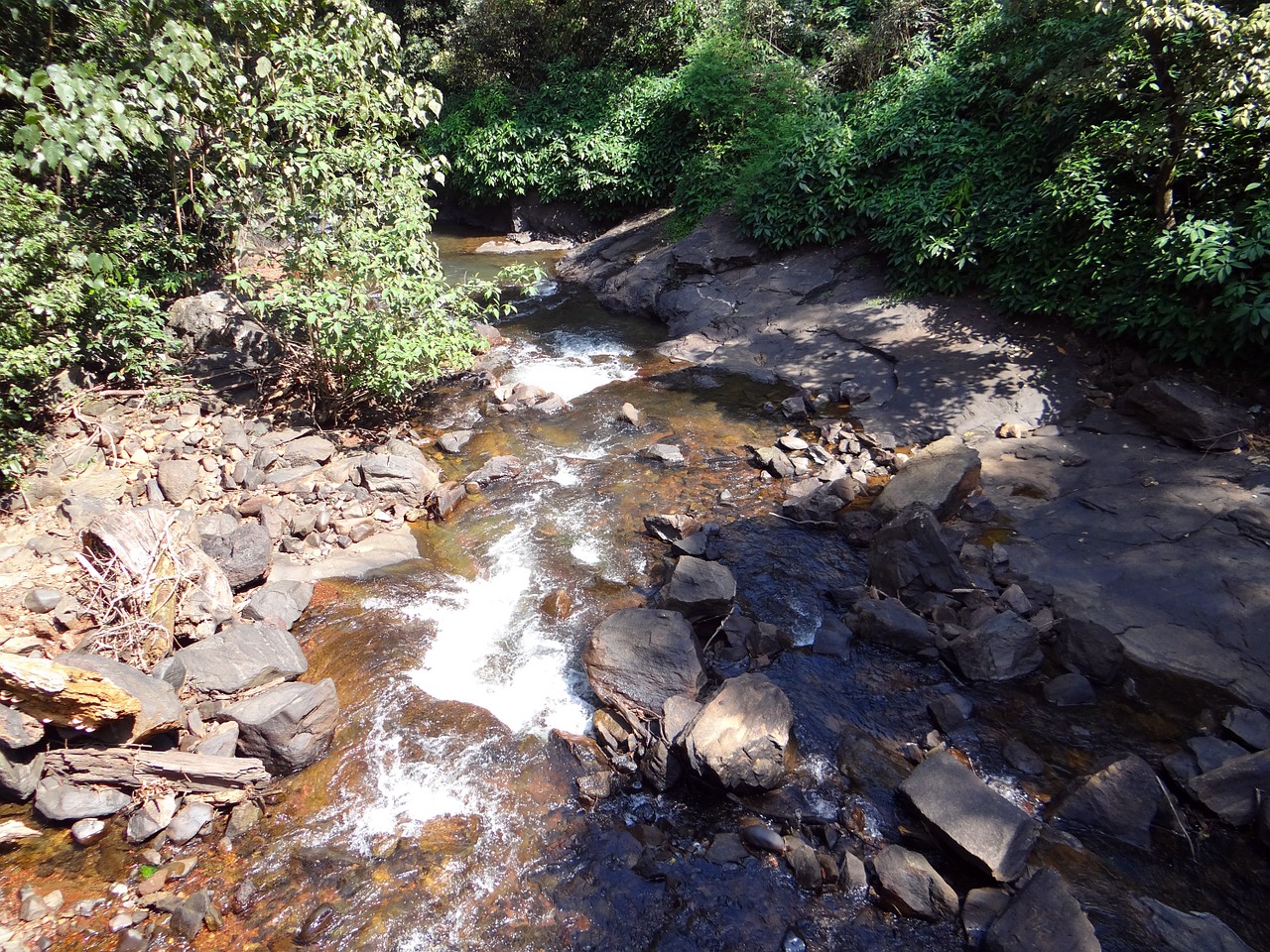 brook mountain stream spring free photo