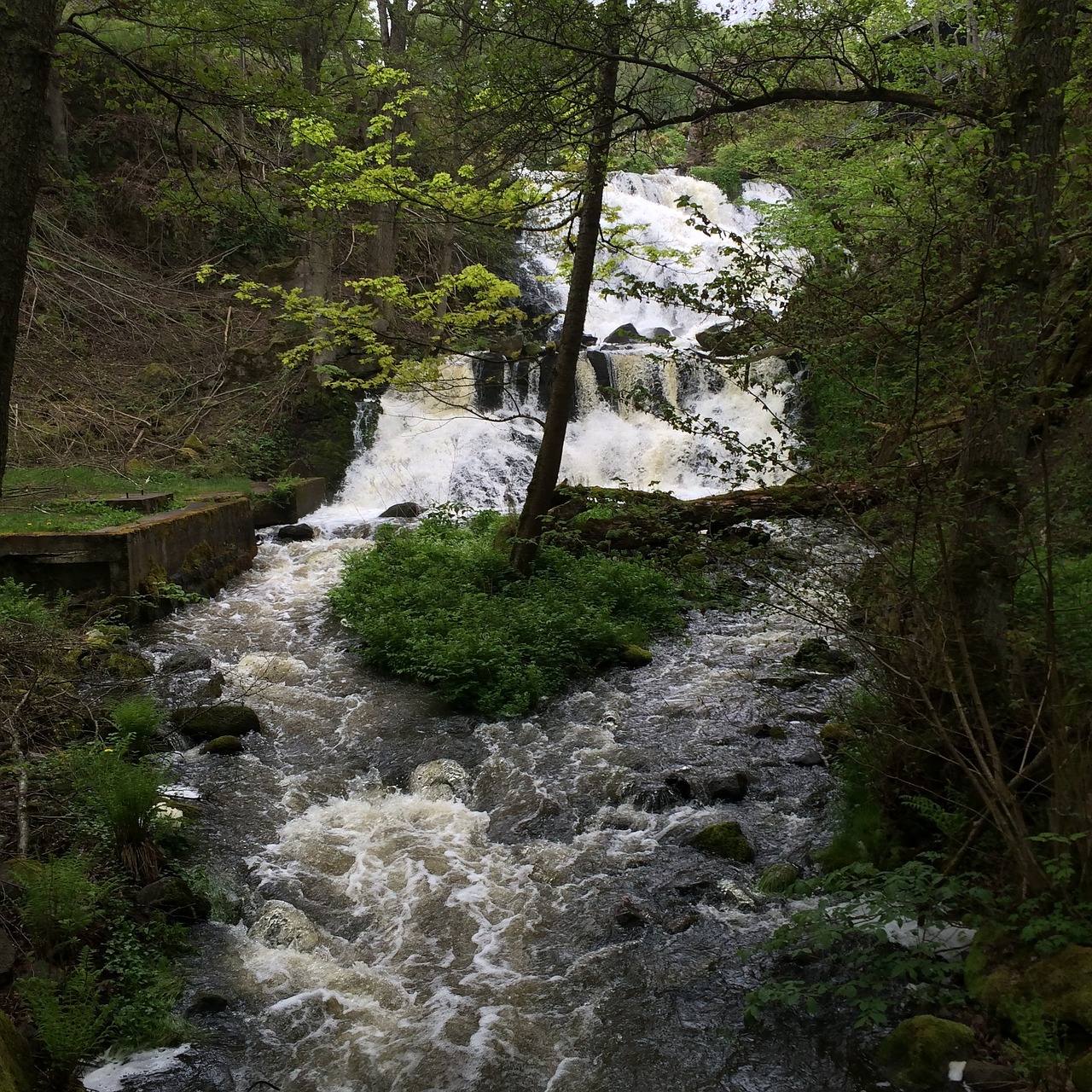 brook å water free photo