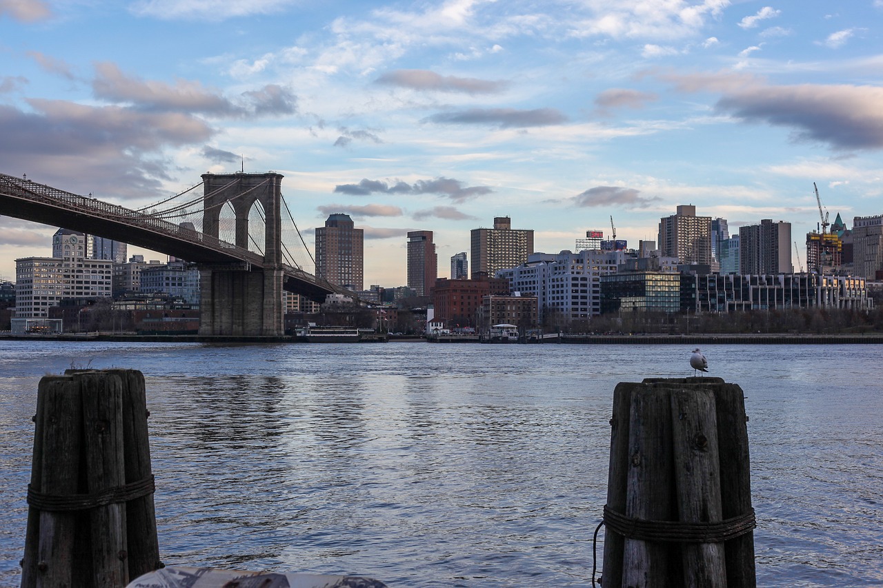 brooklyn bridge  manhattan  dove free photo