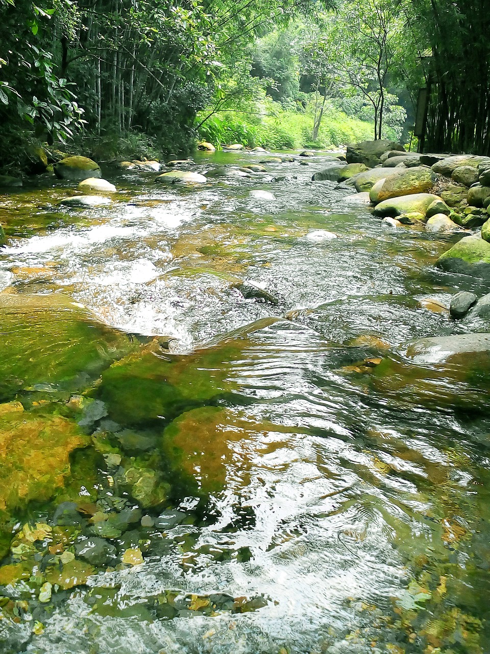 brooks running water fresh free photo