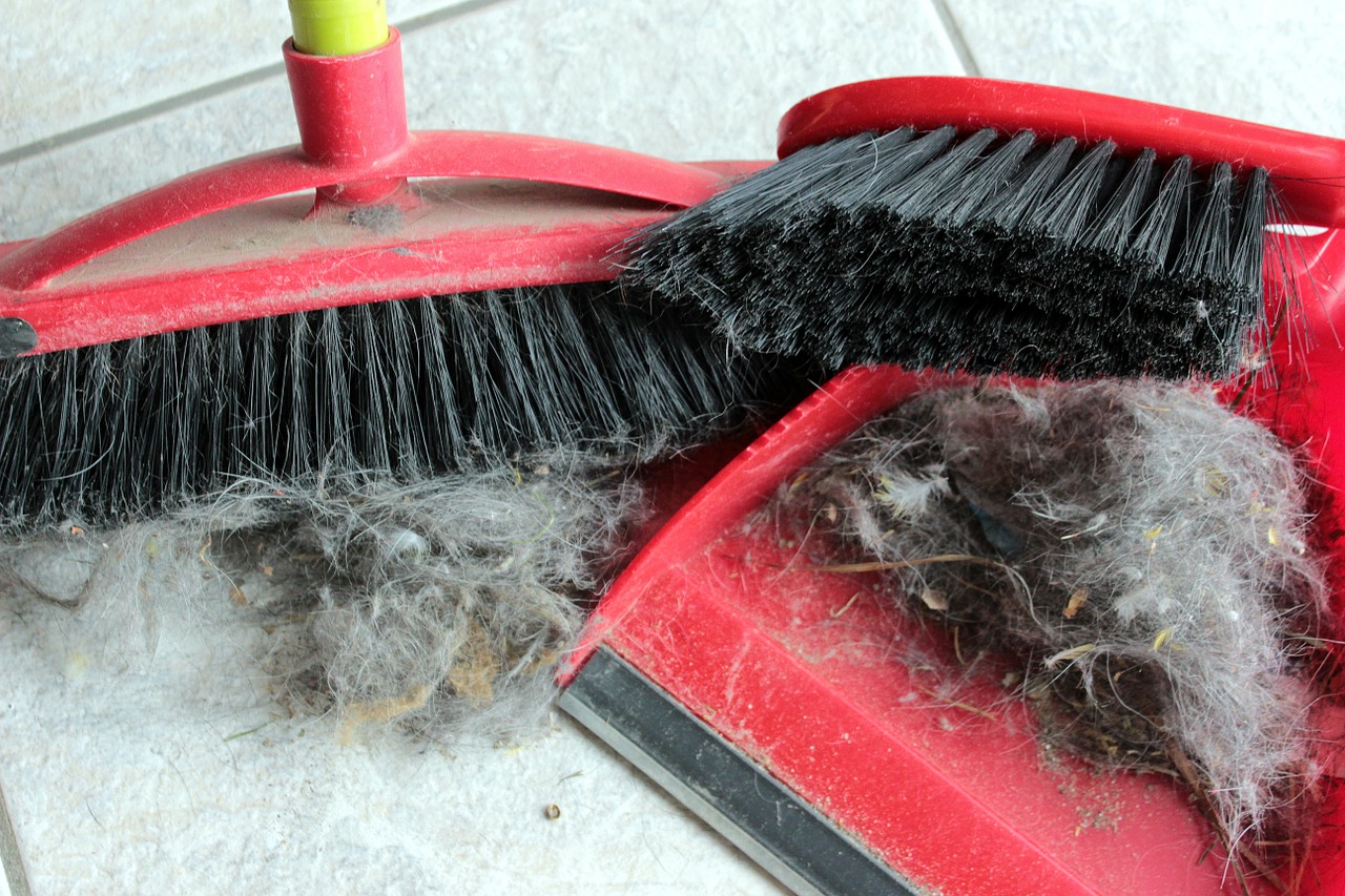 broom hand brush blade free photo