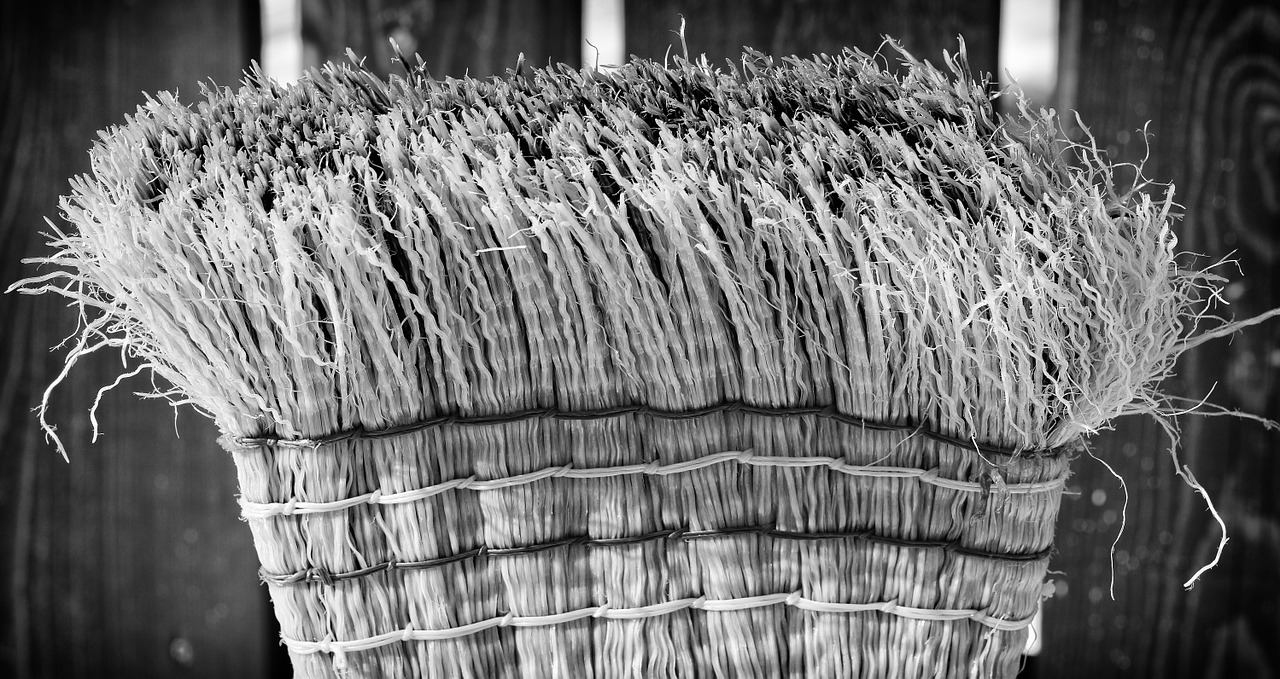 broom return sweep free photo