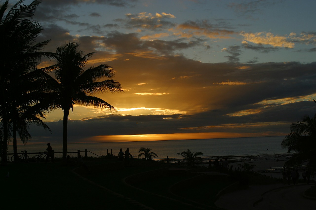 Download free photo of Broome,sunset,australia,beach,palm trees - from ...