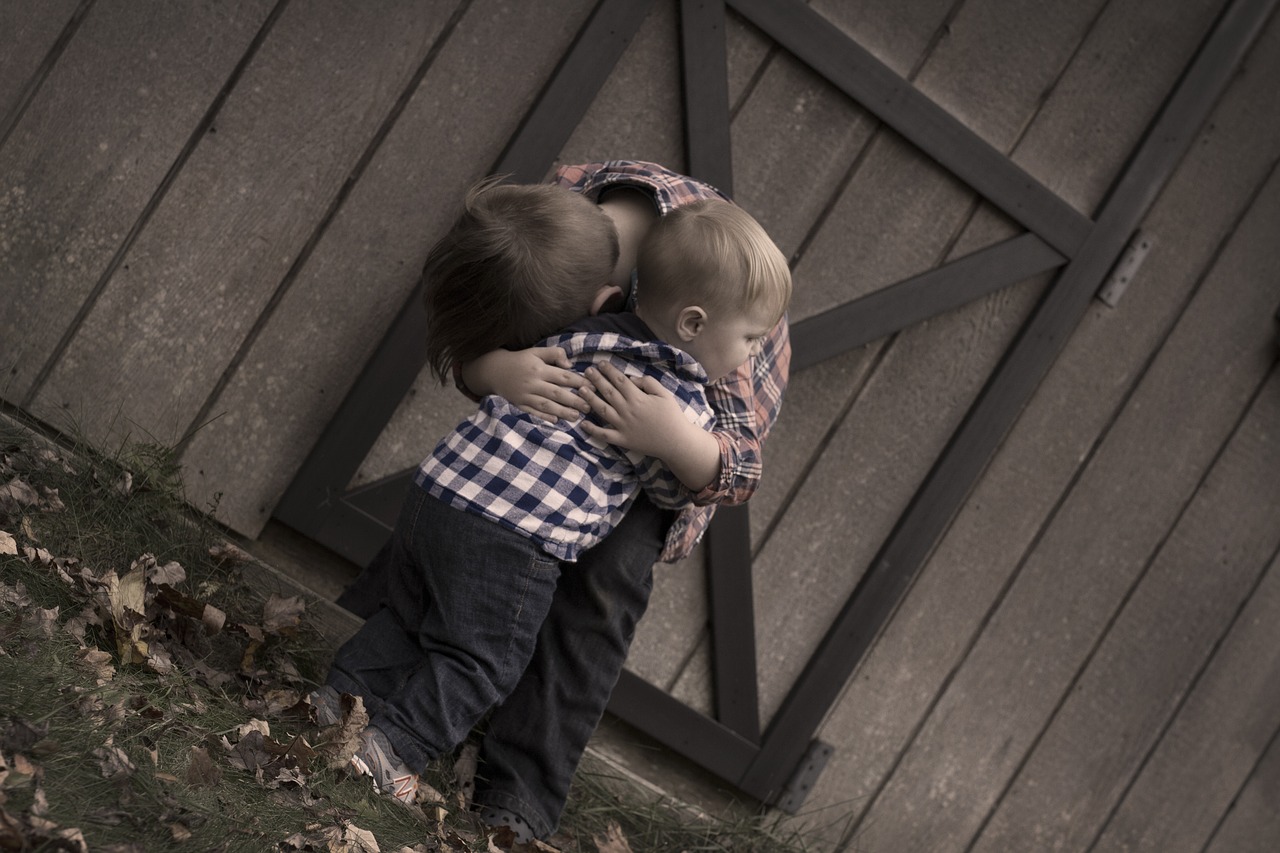 brothers hugging barn door free photo