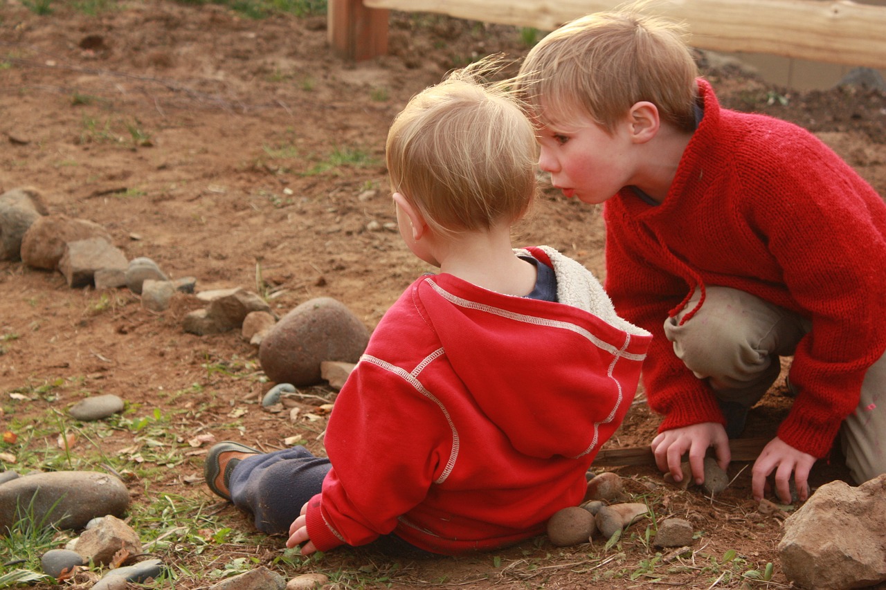 brothers boys play free photo