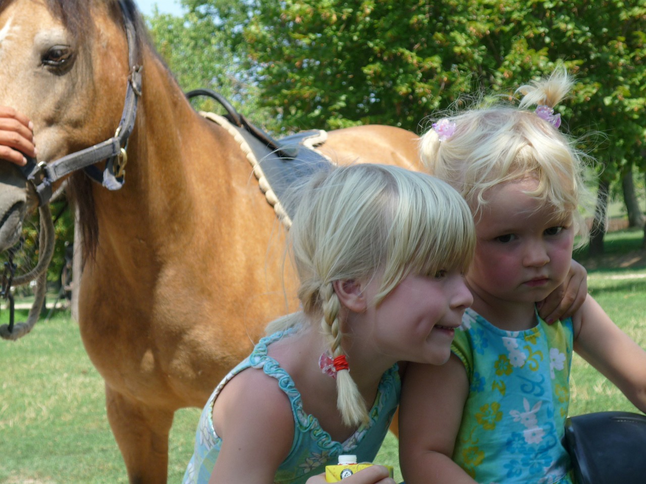 brothers and sisters horse children free photo