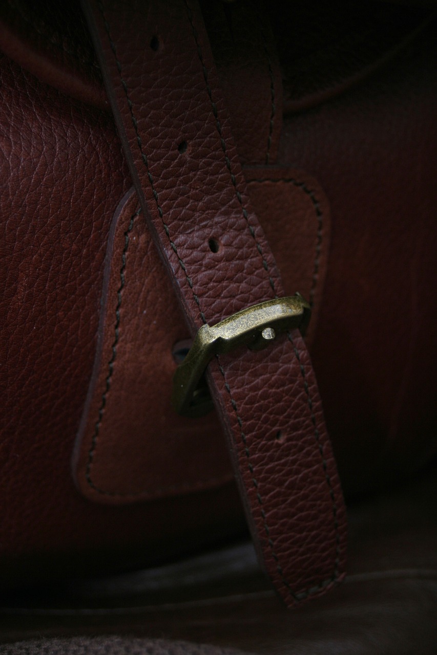 brown leather buckle free photo