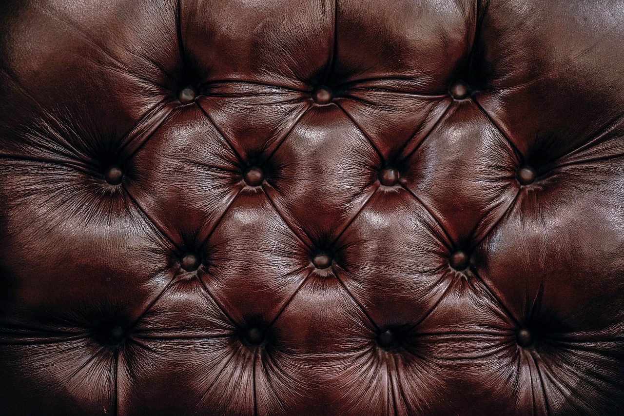 brown leather couch free photo