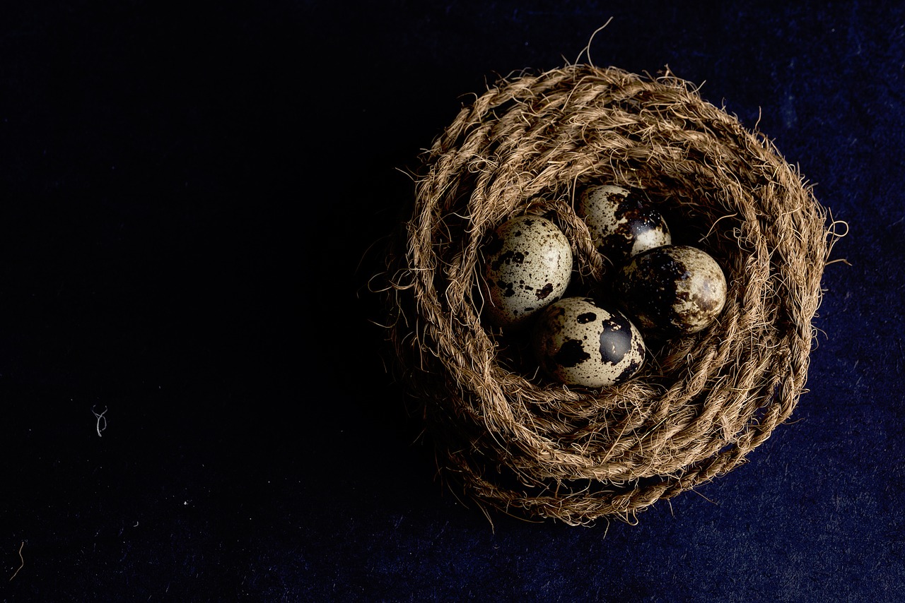 brown rope nest free photo