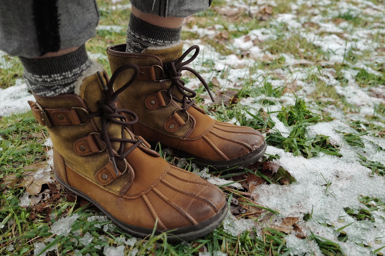 brown leather shoe free photo