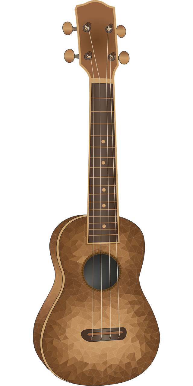 brown  acoustic  instrument free photo