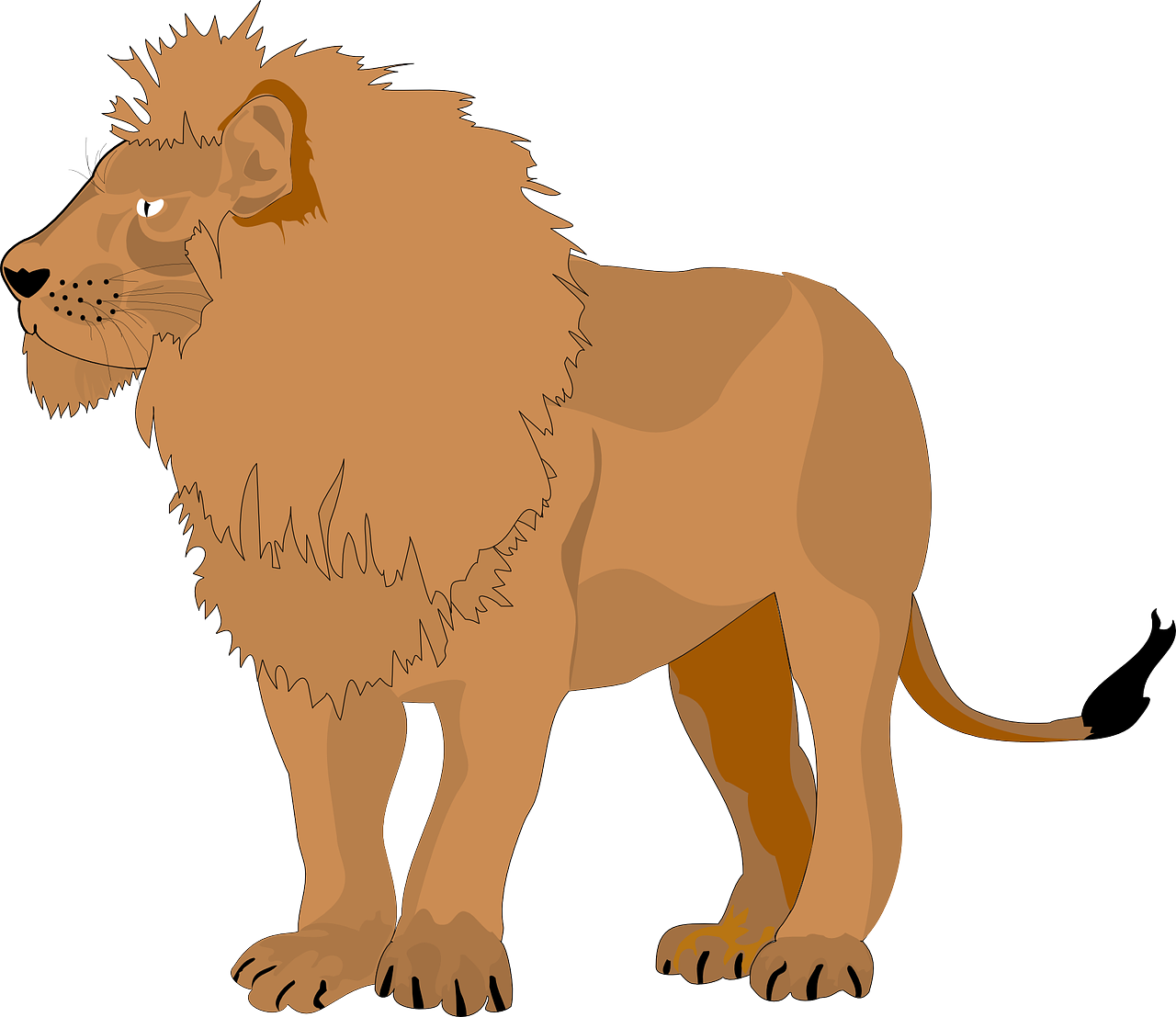 brown pride lion free photo
