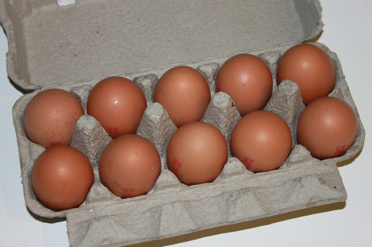 brown cartons eggs free photo