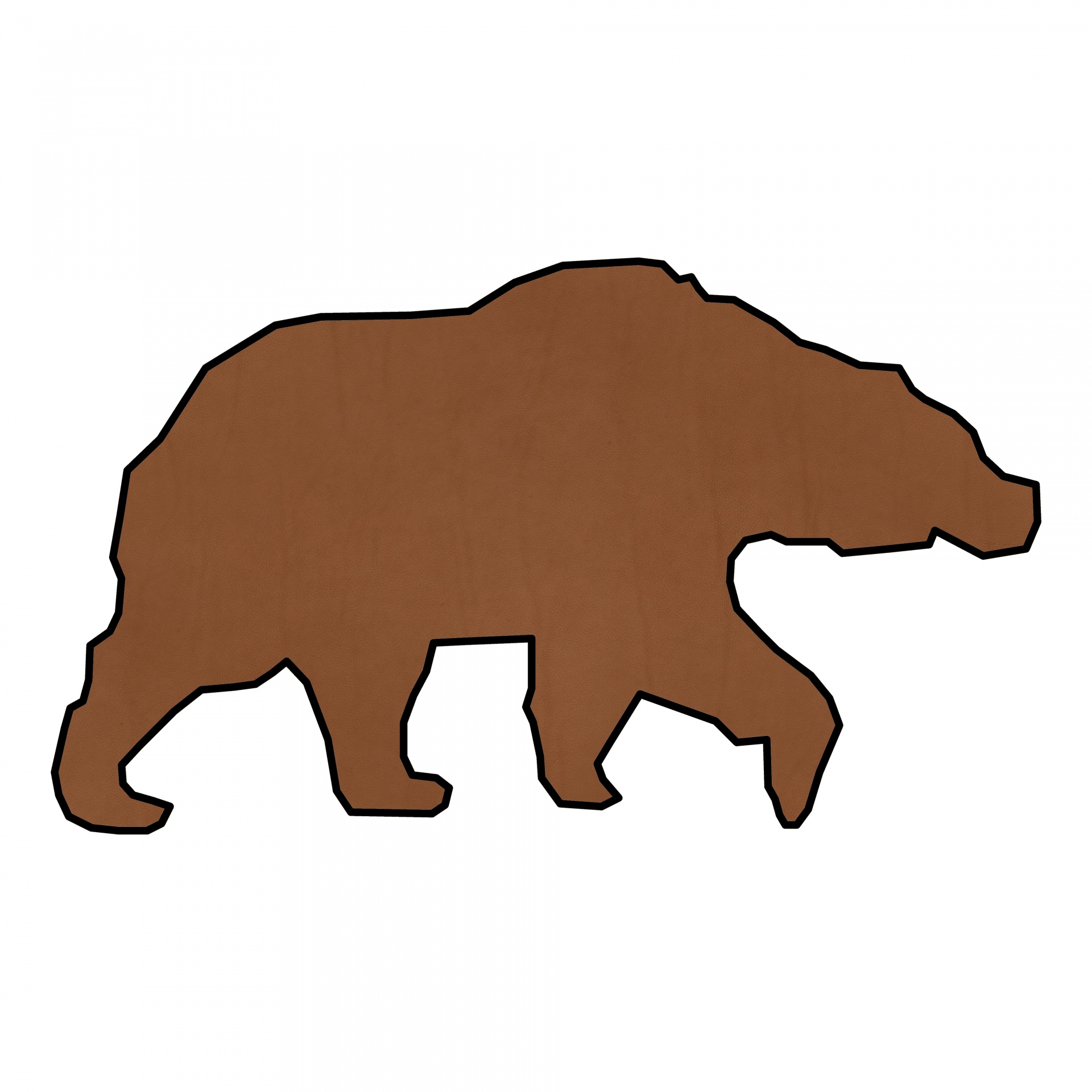 drawing brown bear free photo