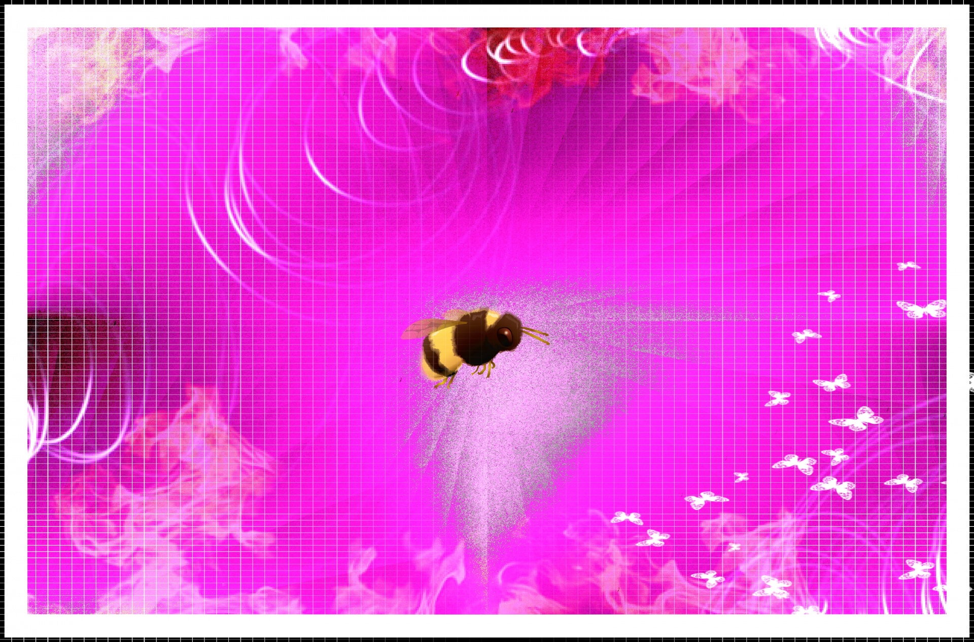 bee butterfly pink wallpaper free photo