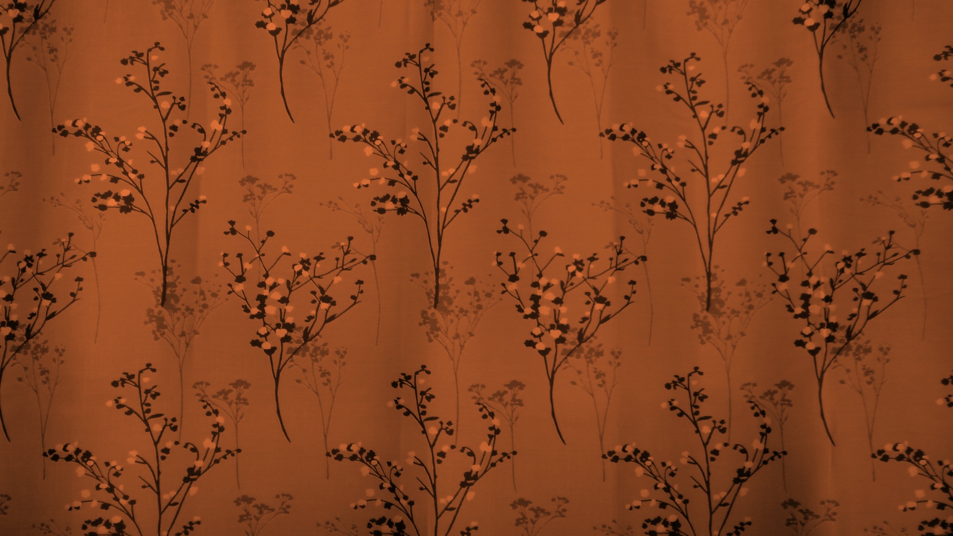 brown background backgrounds free photo