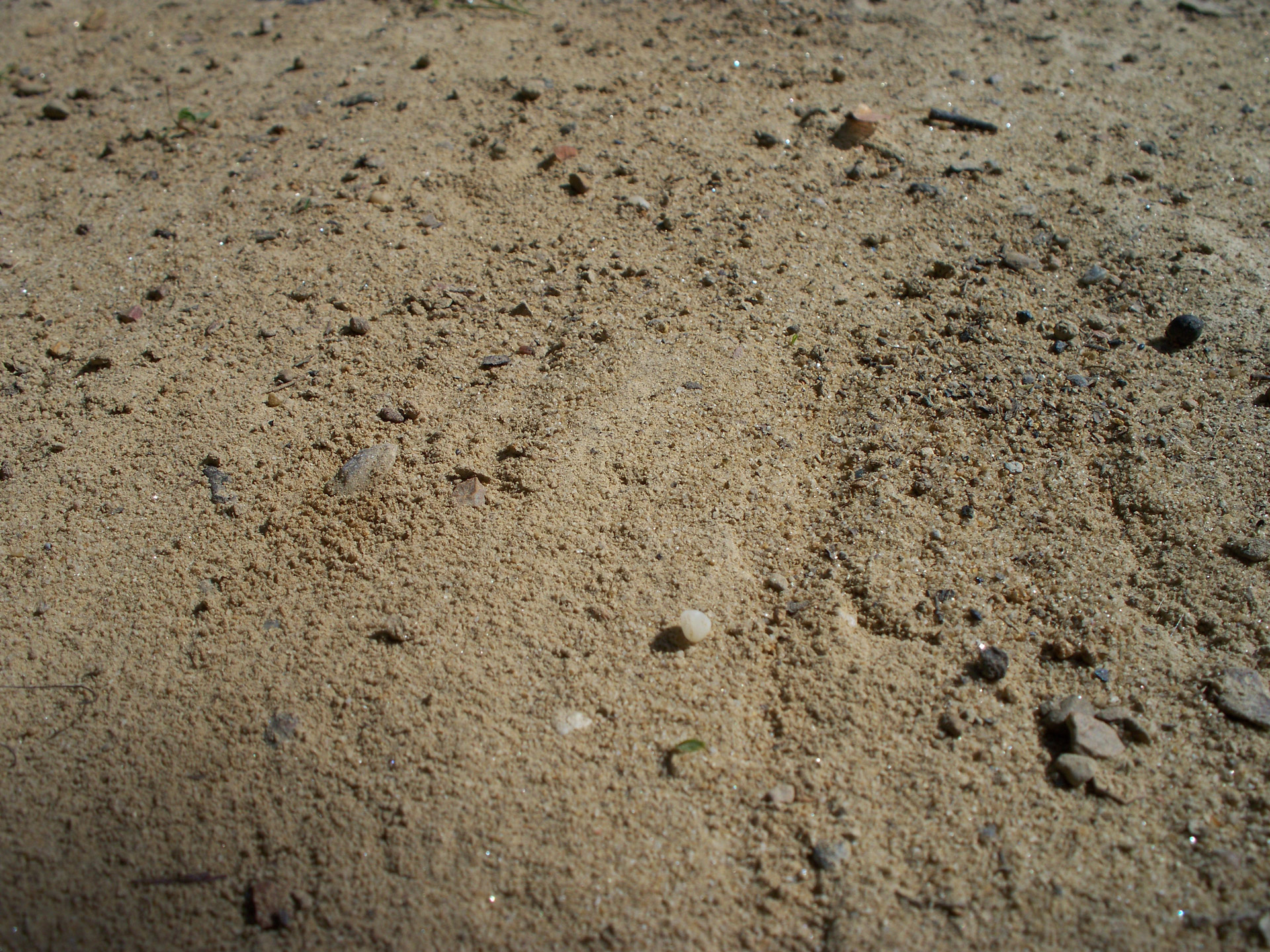 brown dirt stones free photo