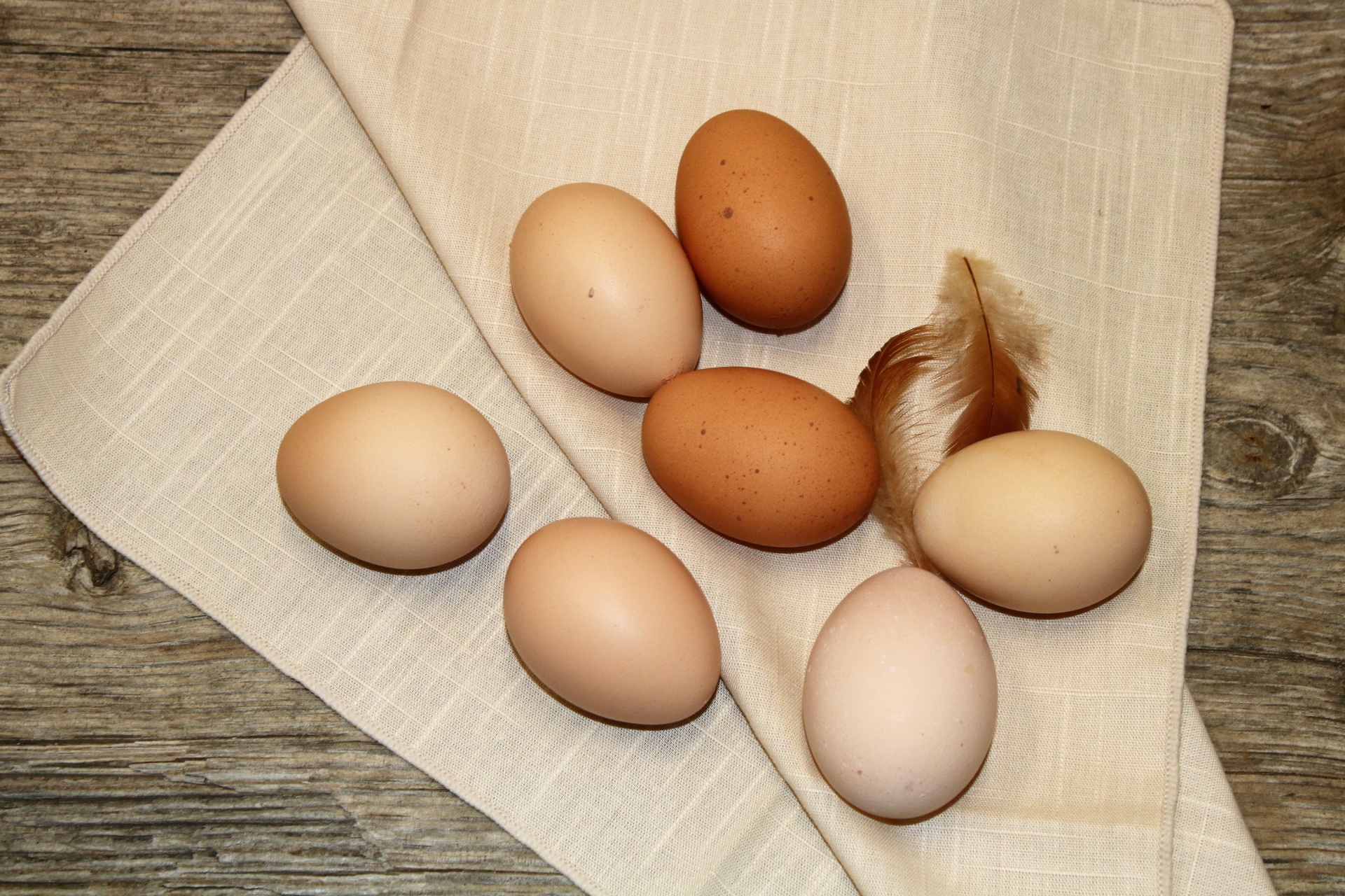 food eggs chicken eggs free photo