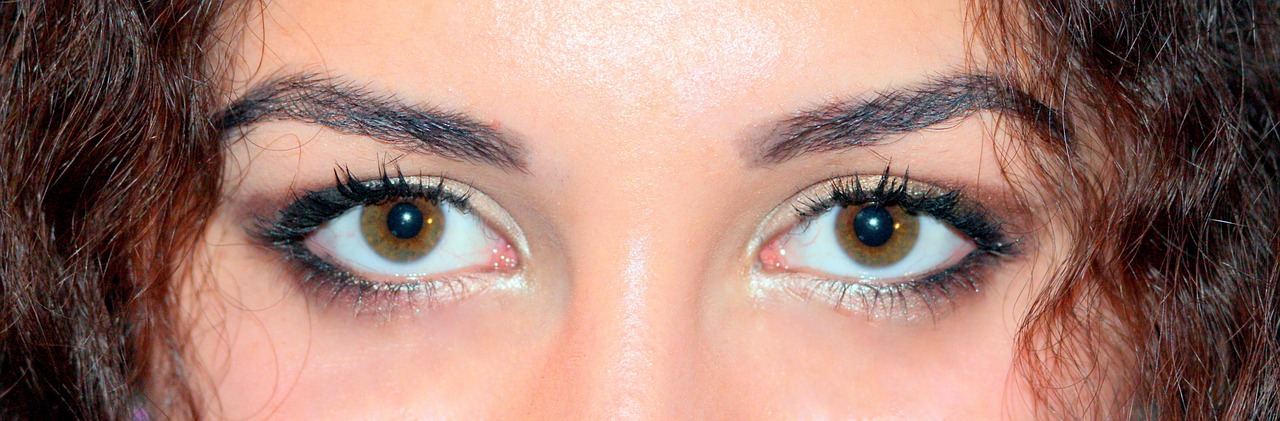 brown eyes iris gene free photo