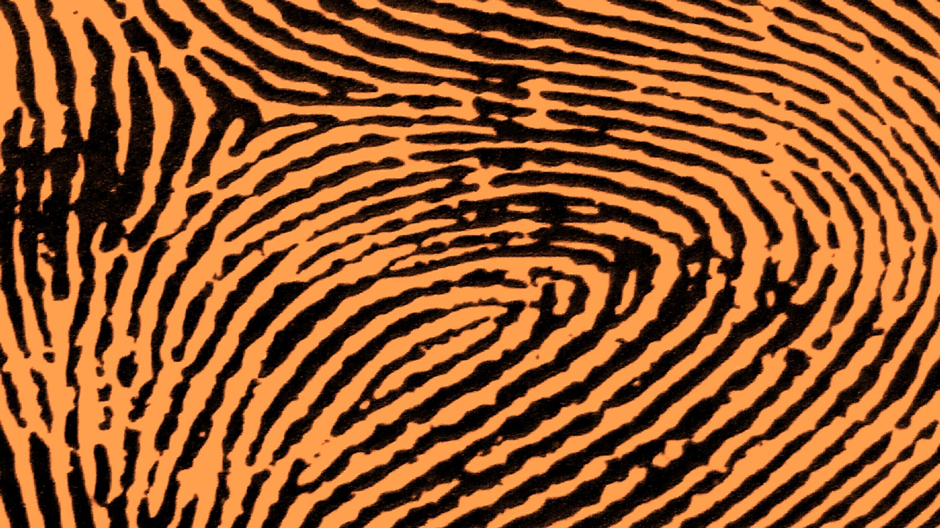 brown fingerprint fingerprints free photo