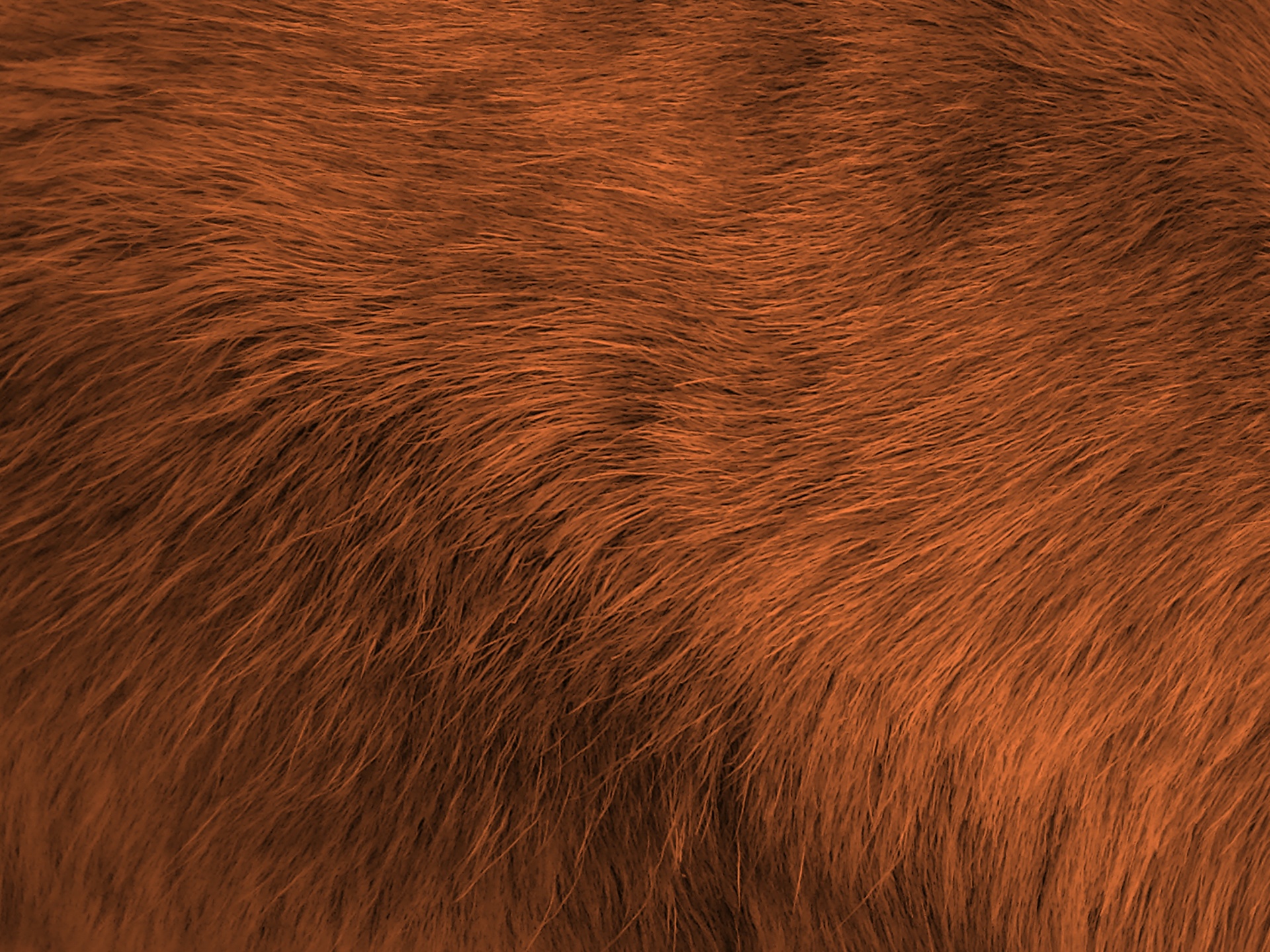 Texture Faux Fur free download free textures, free download — Картинки ...
