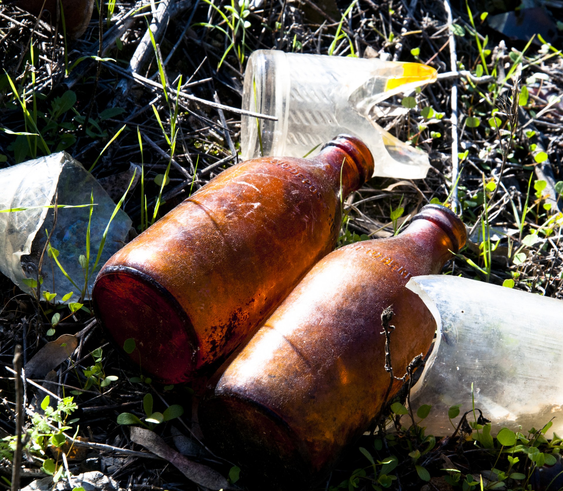 bottle bottles brown free photo