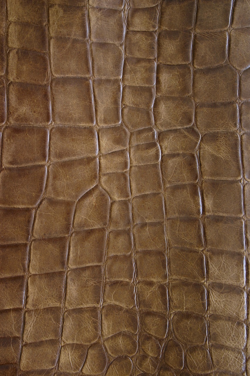 brown leather structure detail free photo