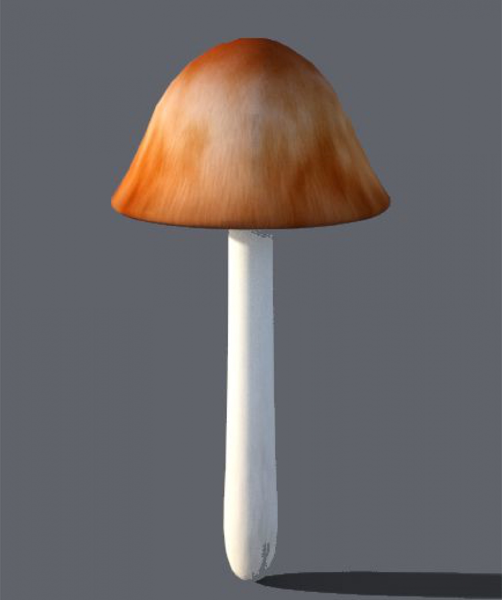 drawing brown mushroom free photo