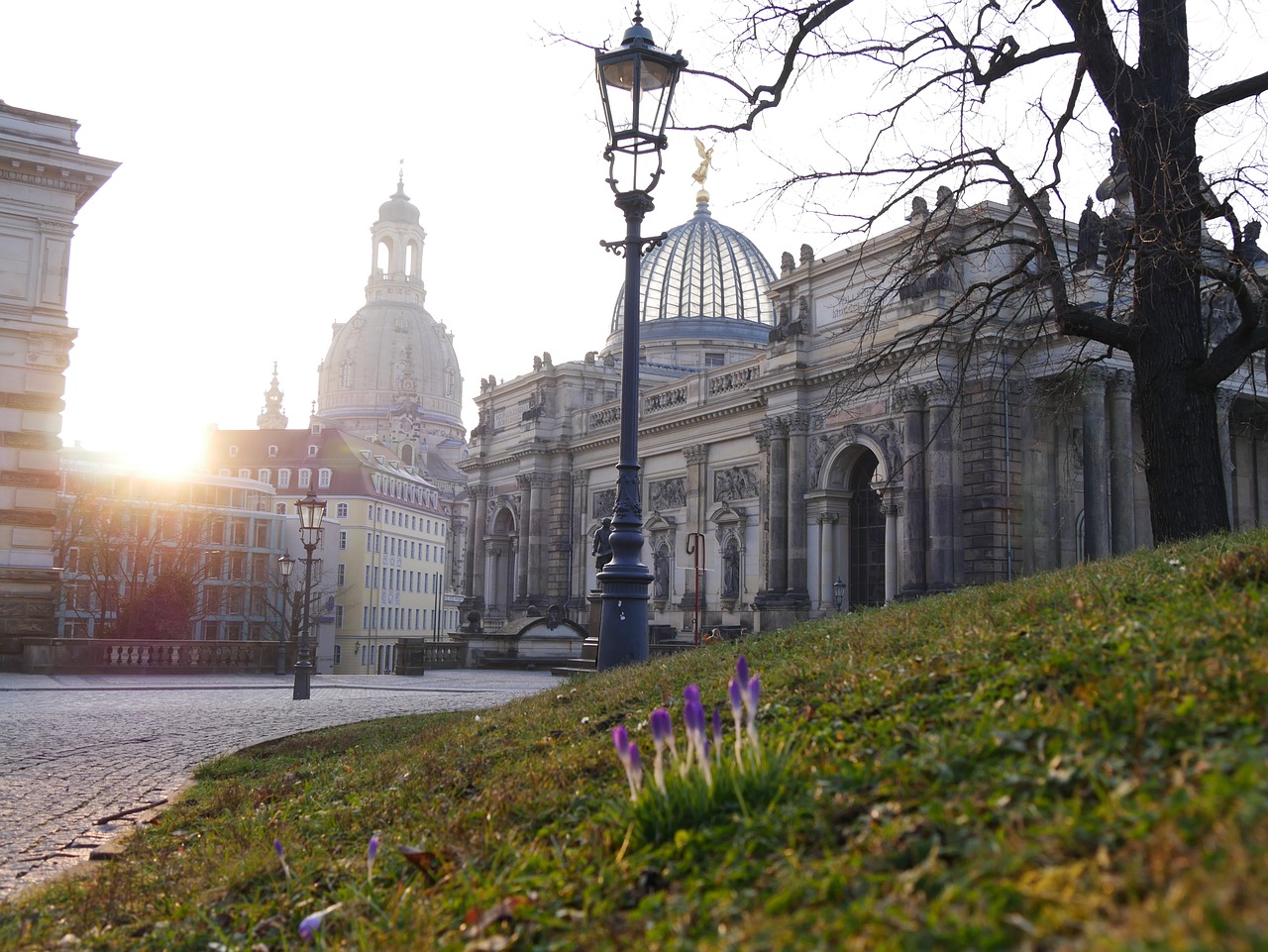 bruehl  dresden  frauenkirche free photo