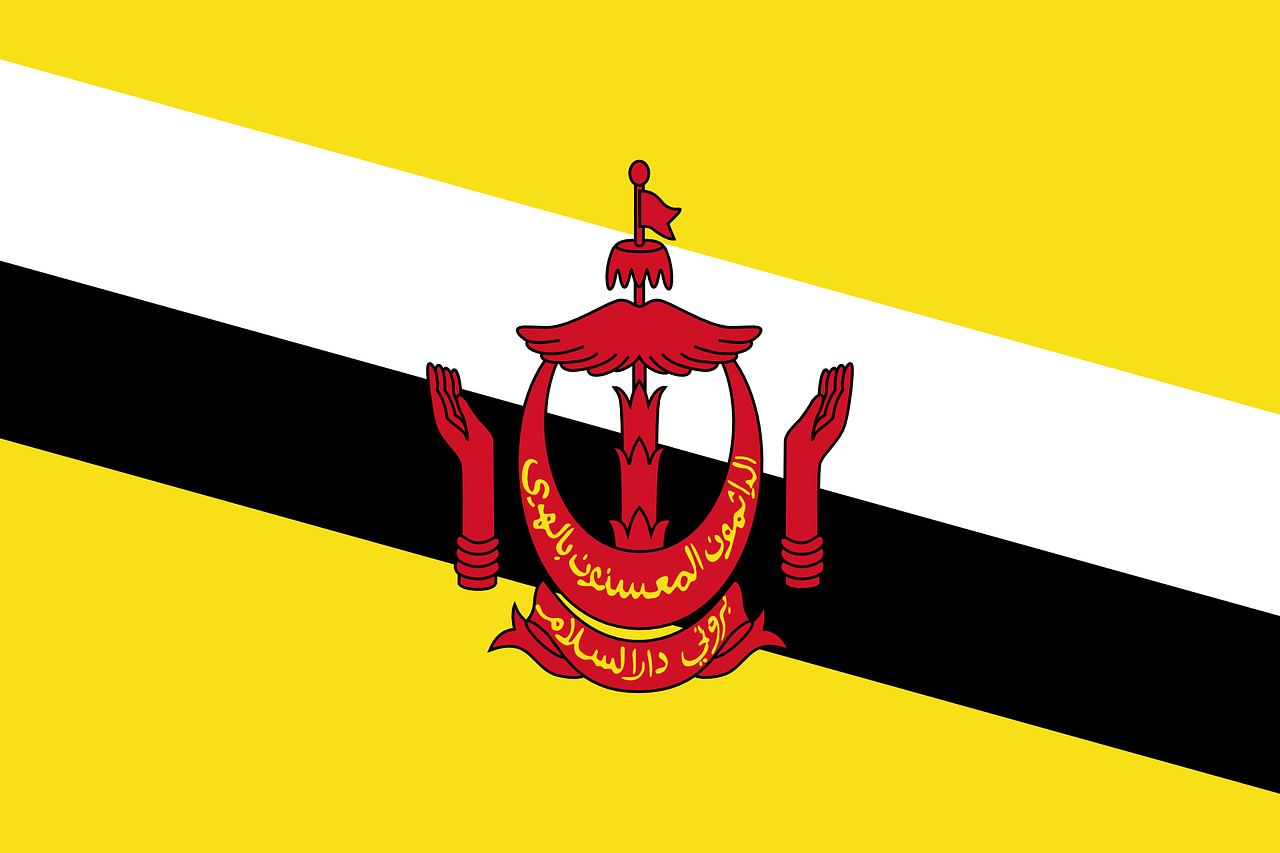 brunei flag national flag free photo