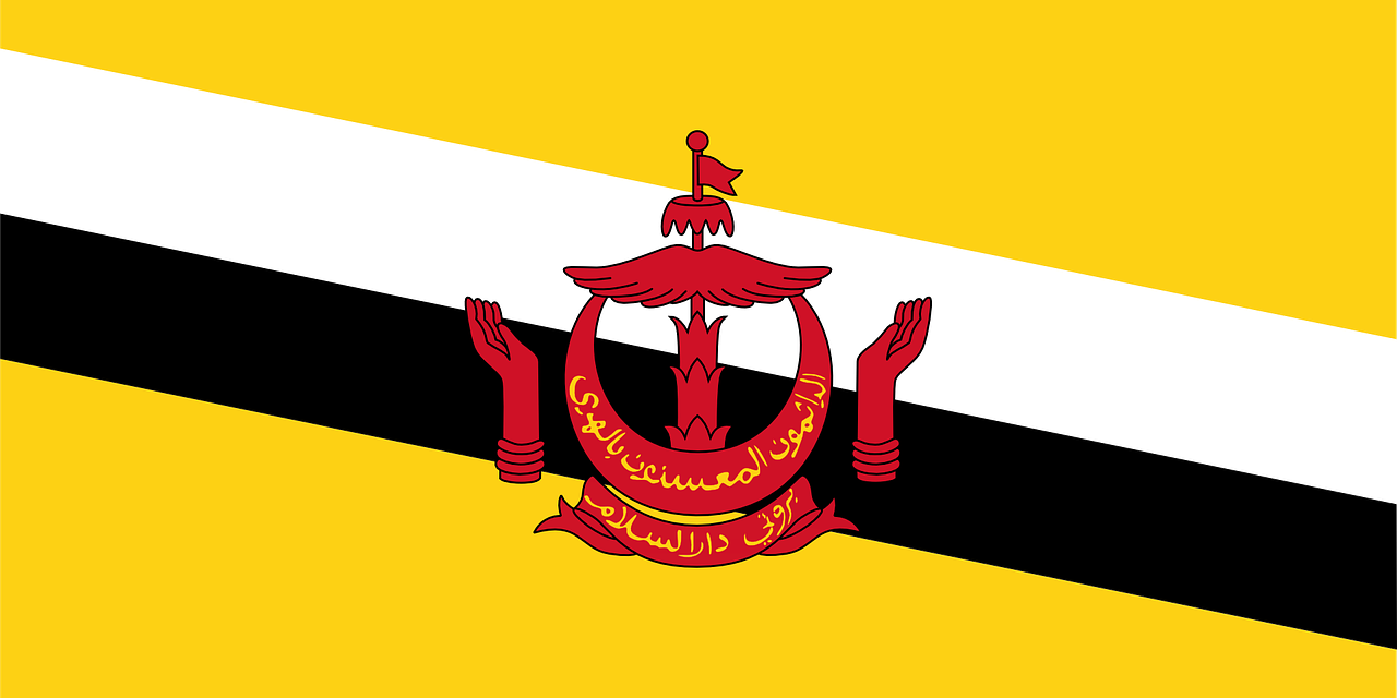 brunei flag nation free photo
