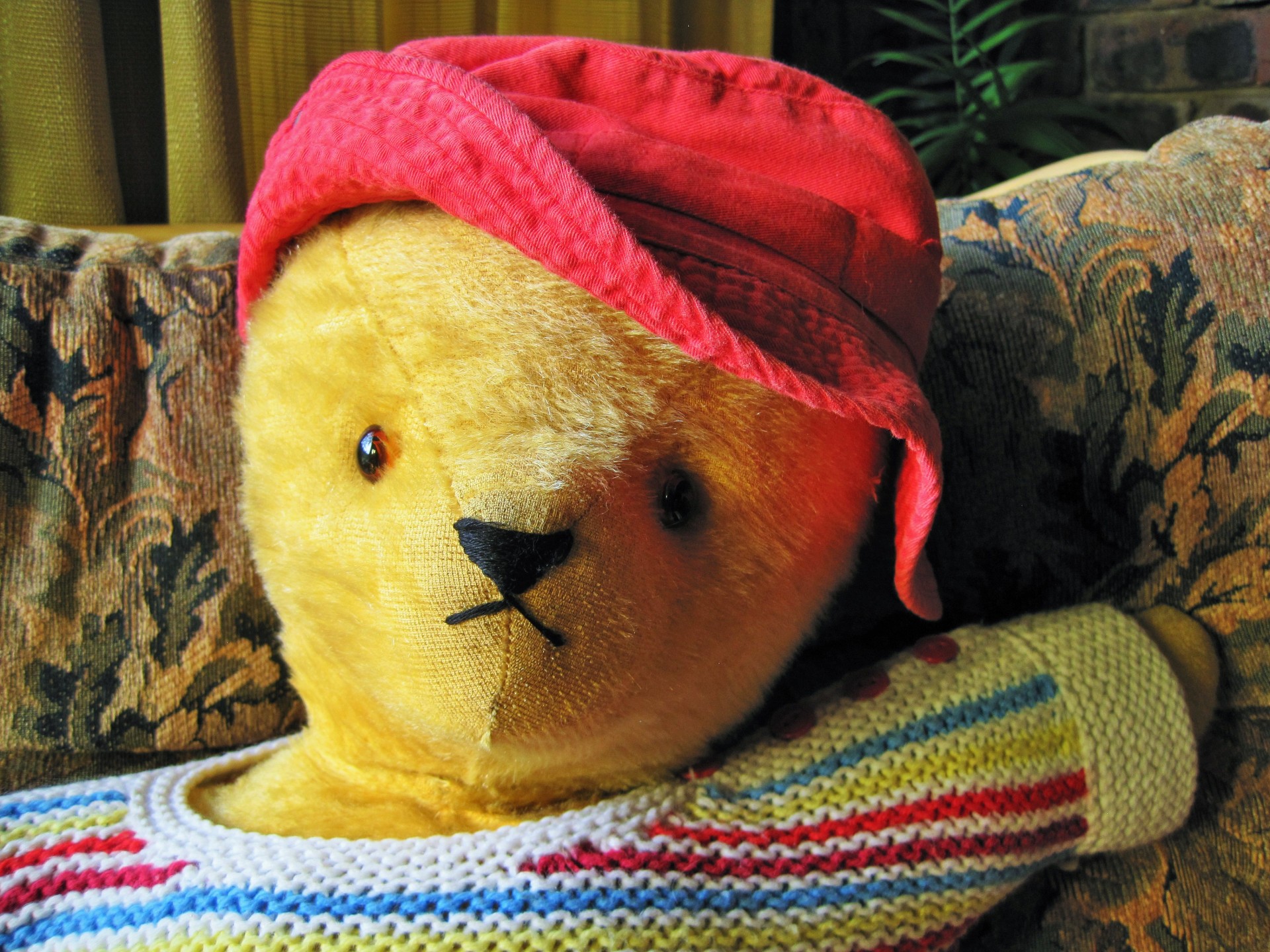 teddy bear yellow hat free photo