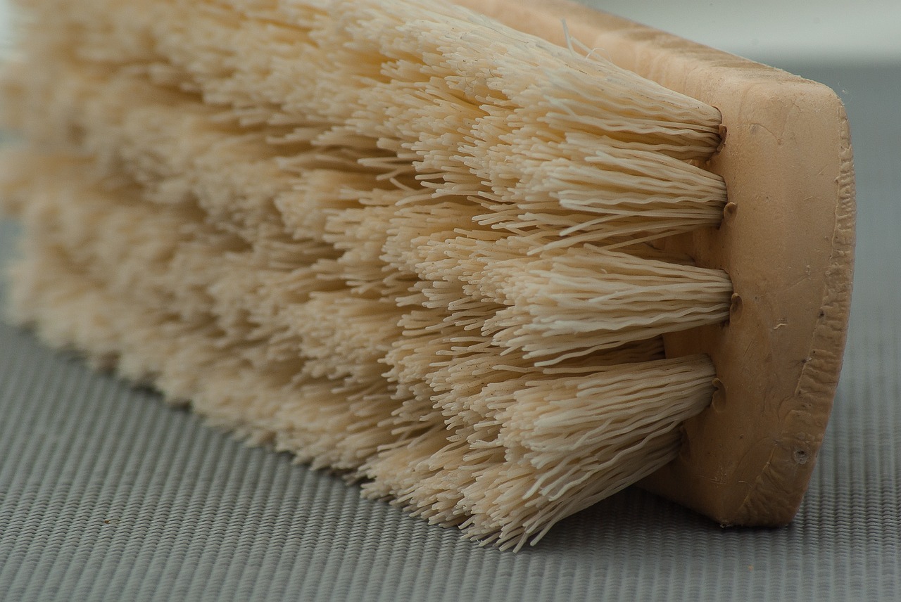 brush cleaning household free photo